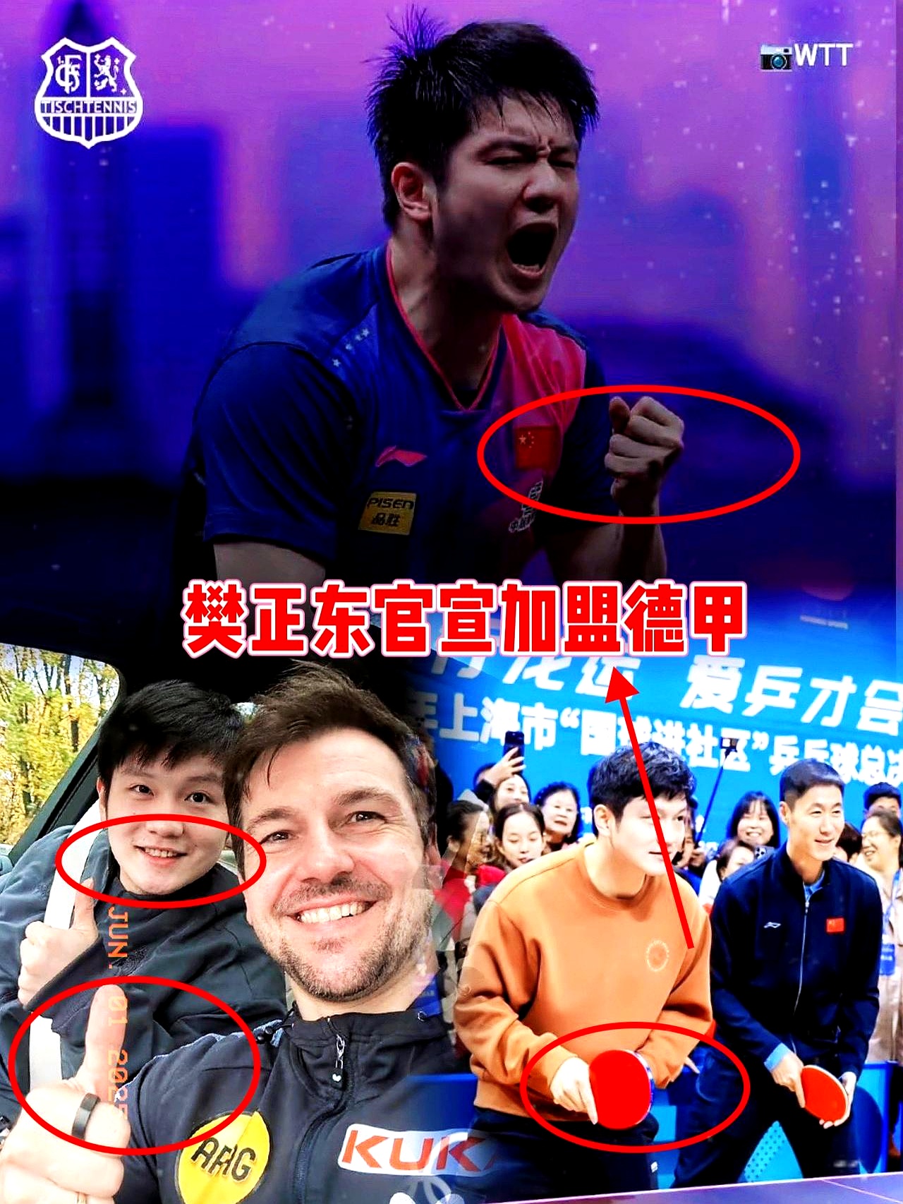 日本乒乓球队绝杀德国乒乓球队，波尔送出助攻