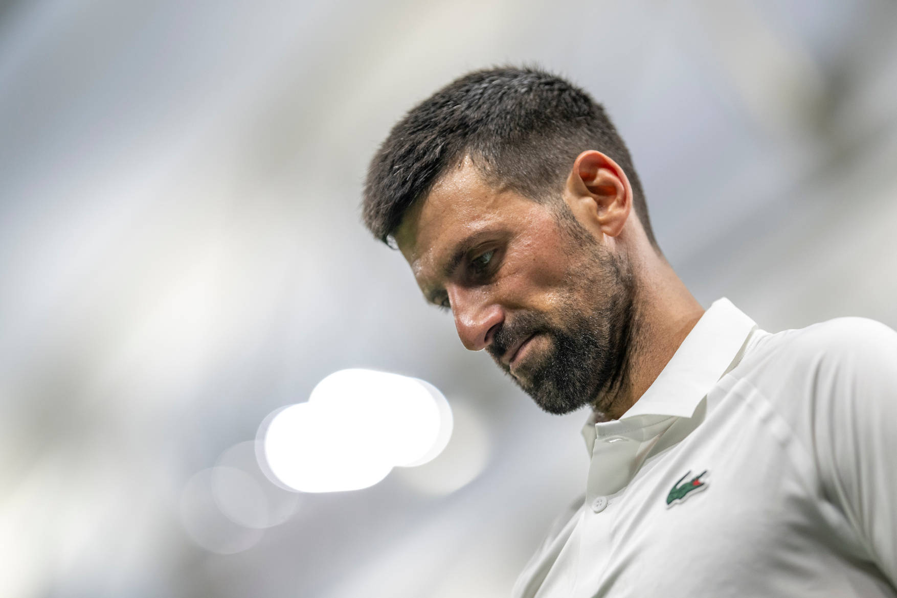 拉沃尔杯碾压蒙特卡洛大师赛,德约科维奇刷新纪录 拉沃尔杯碾压蒙特卡洛大师赛,德约科维奇刷新纪录