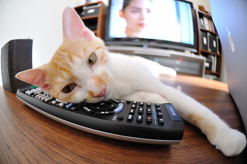 双星辉映，英格兰队绿茵碾压波兰，马龙乒坛再铸传奇