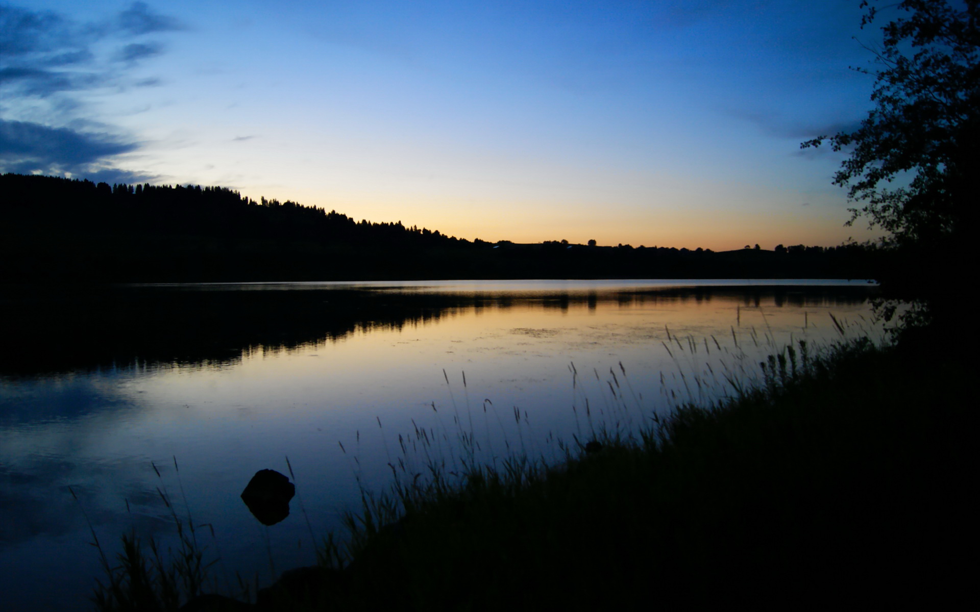 血战天山，当撕裂之熊遇上沉默的君王