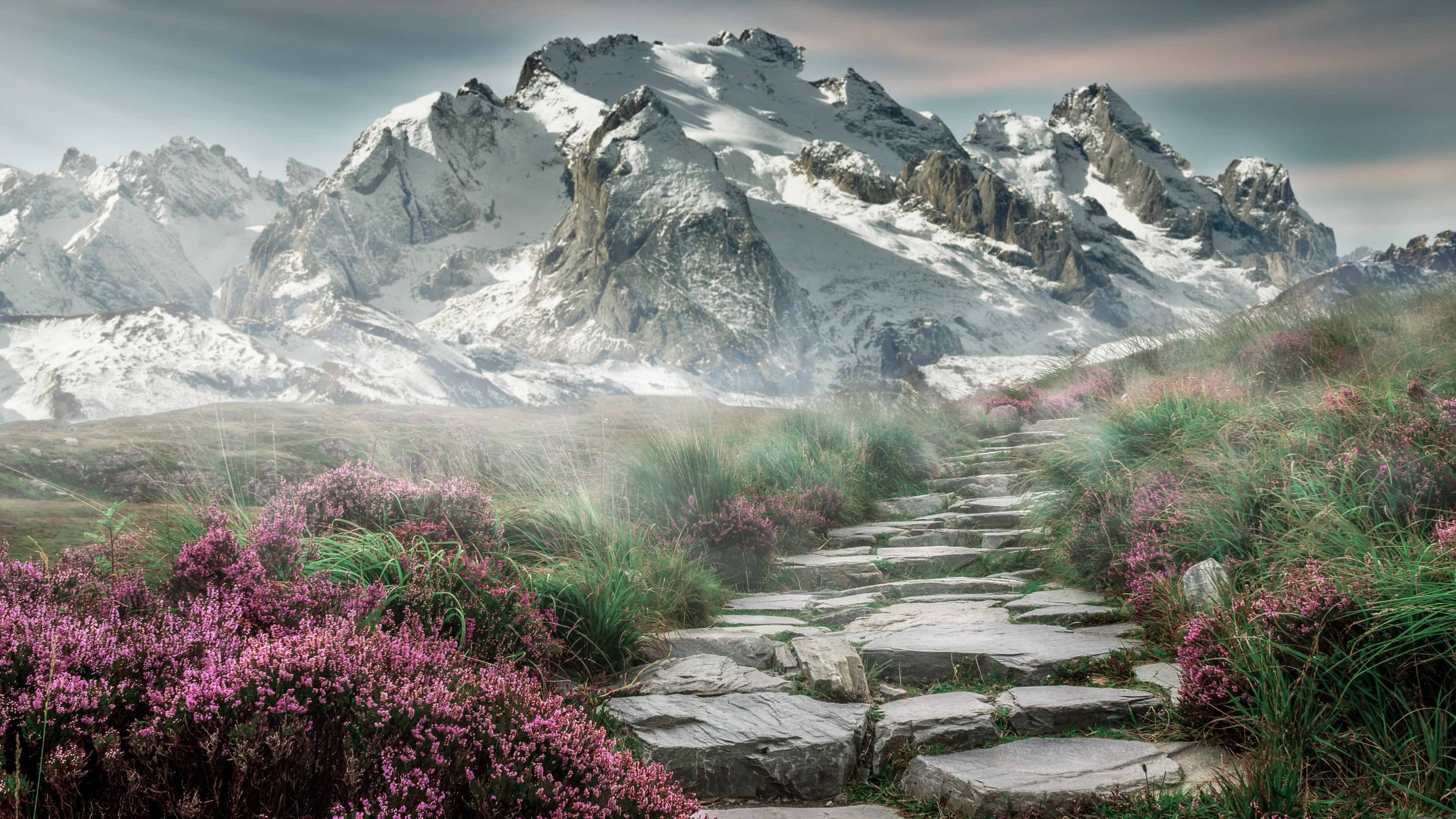 唯一变量,当塞内加尔的鼓点遇见拉齐奥的蓝调,孙兴慜踩下世界的节拍器