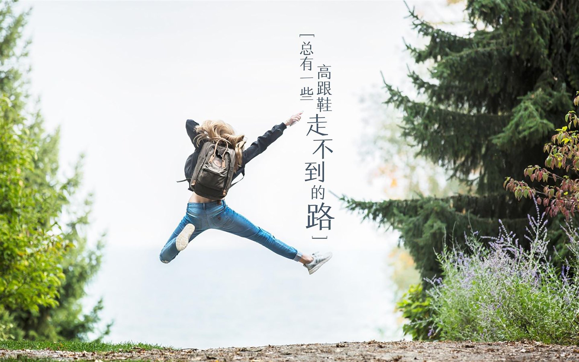 体育双星闪耀,森林狼轻取开拓者展团队之力,布克欧冠淘汰赛演个人神迹