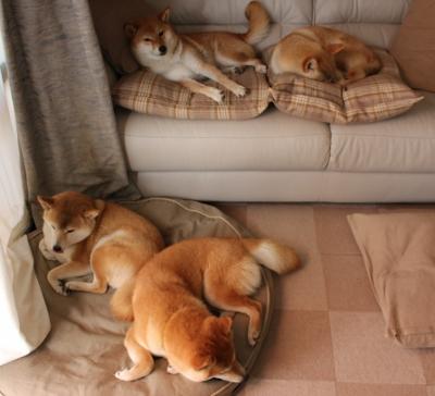 西风压倒东风，猛龙撕裂雷霆防线的龙吟时刻