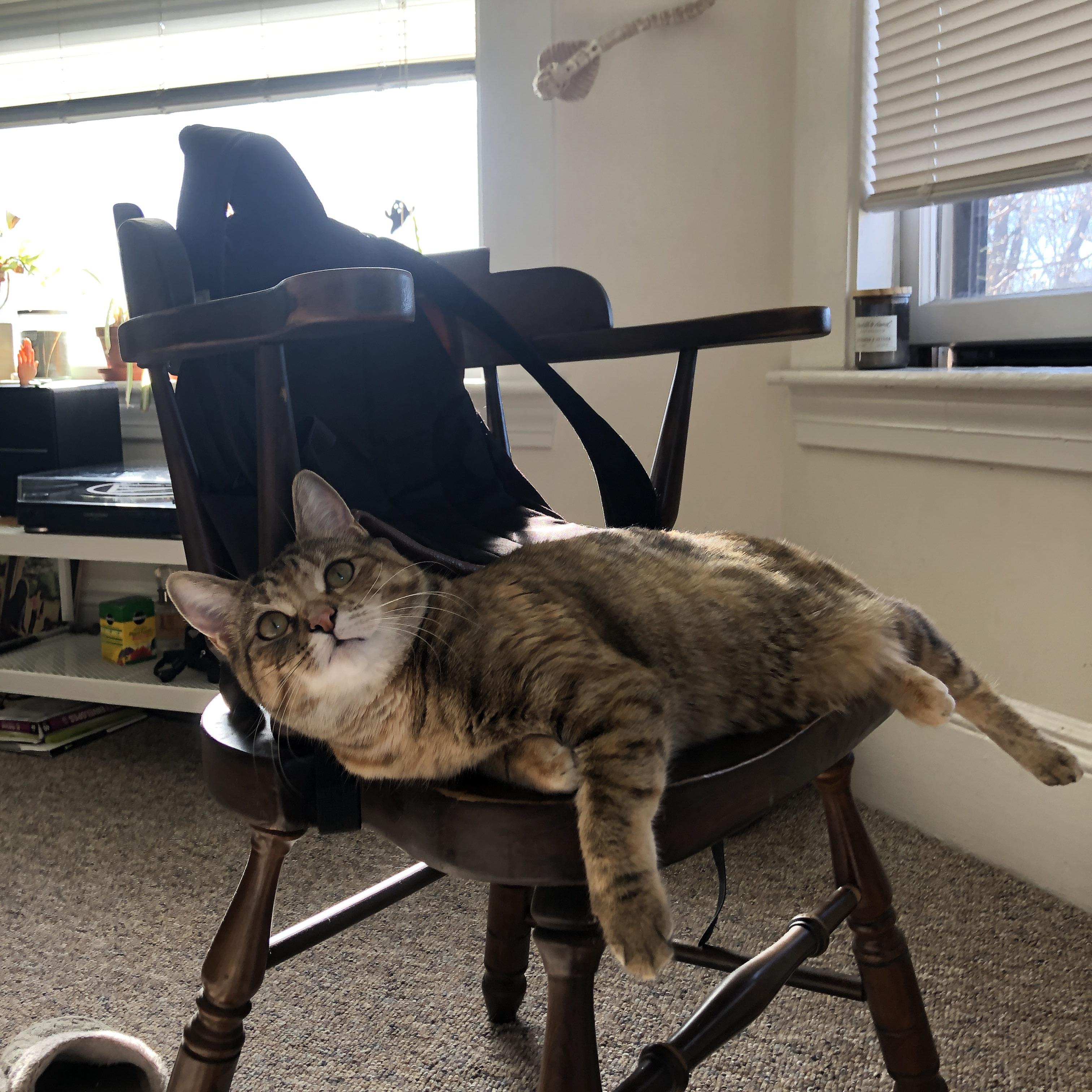 末节逆转！梅西绝杀助乌克兰世界杯热身赛带走贝蒂斯救赎