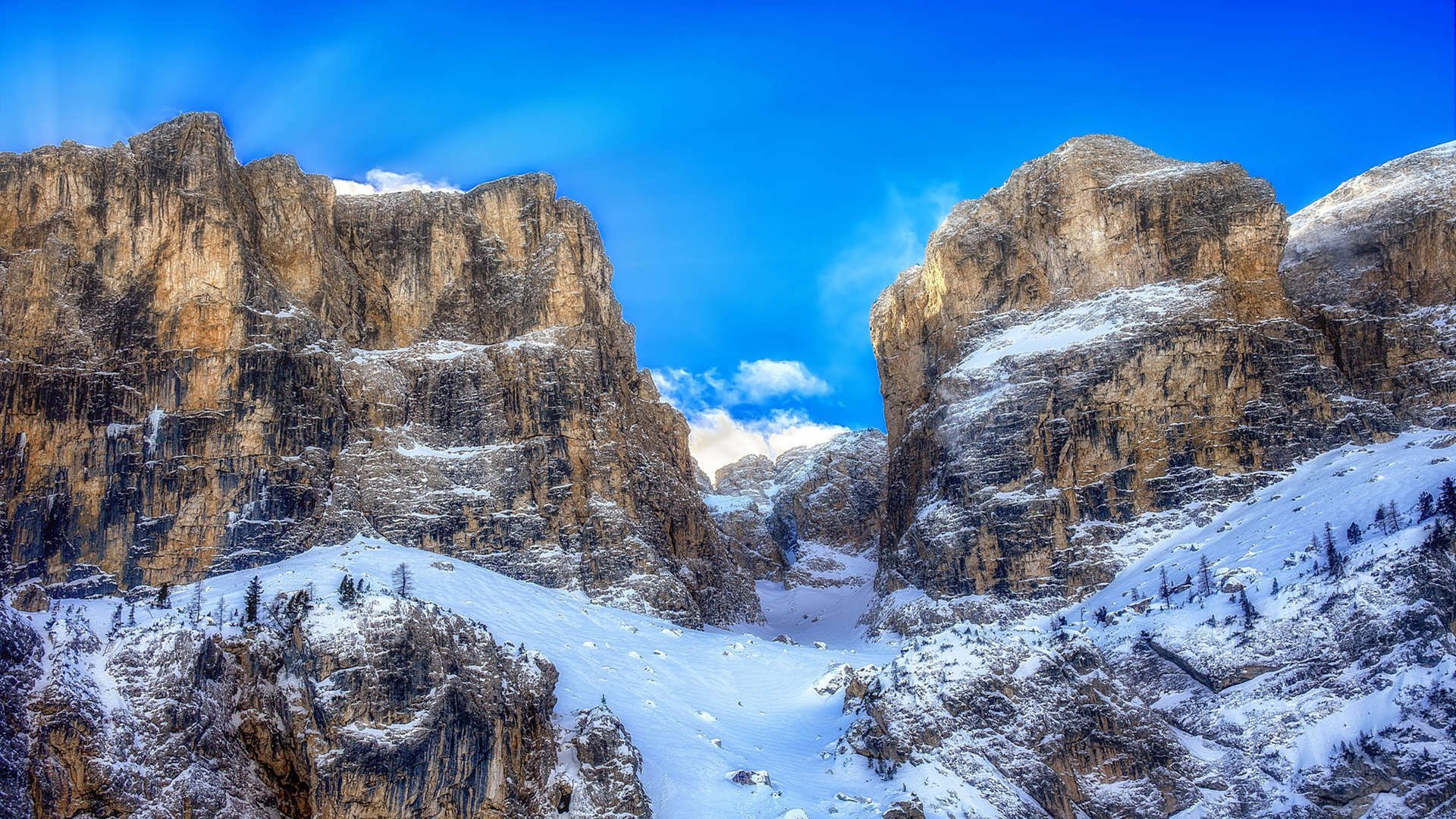 我来给你写一篇从独特视角切入的文章