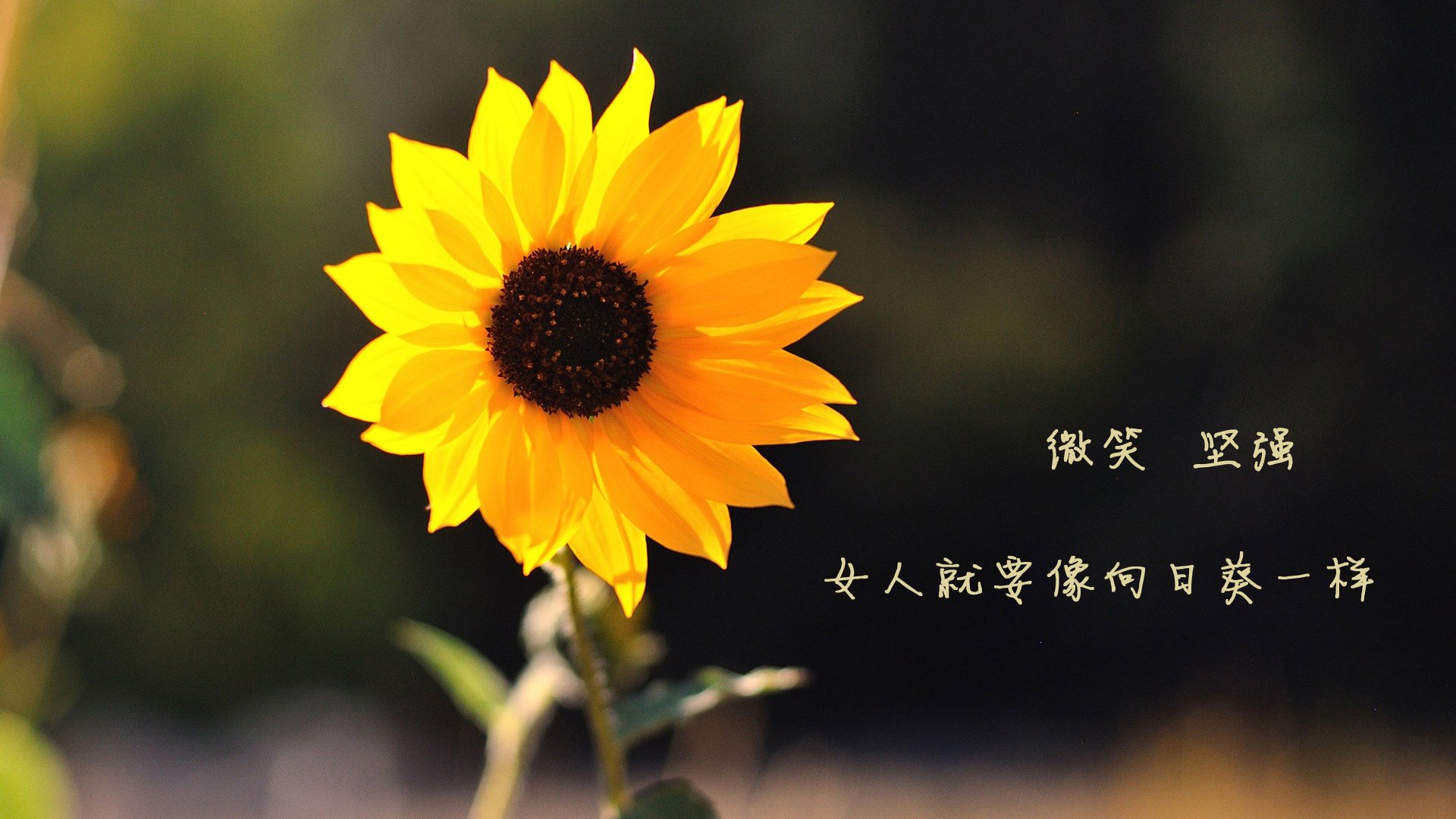 米切尔稳定输出成定海神针，活塞末节发力险胜公牛