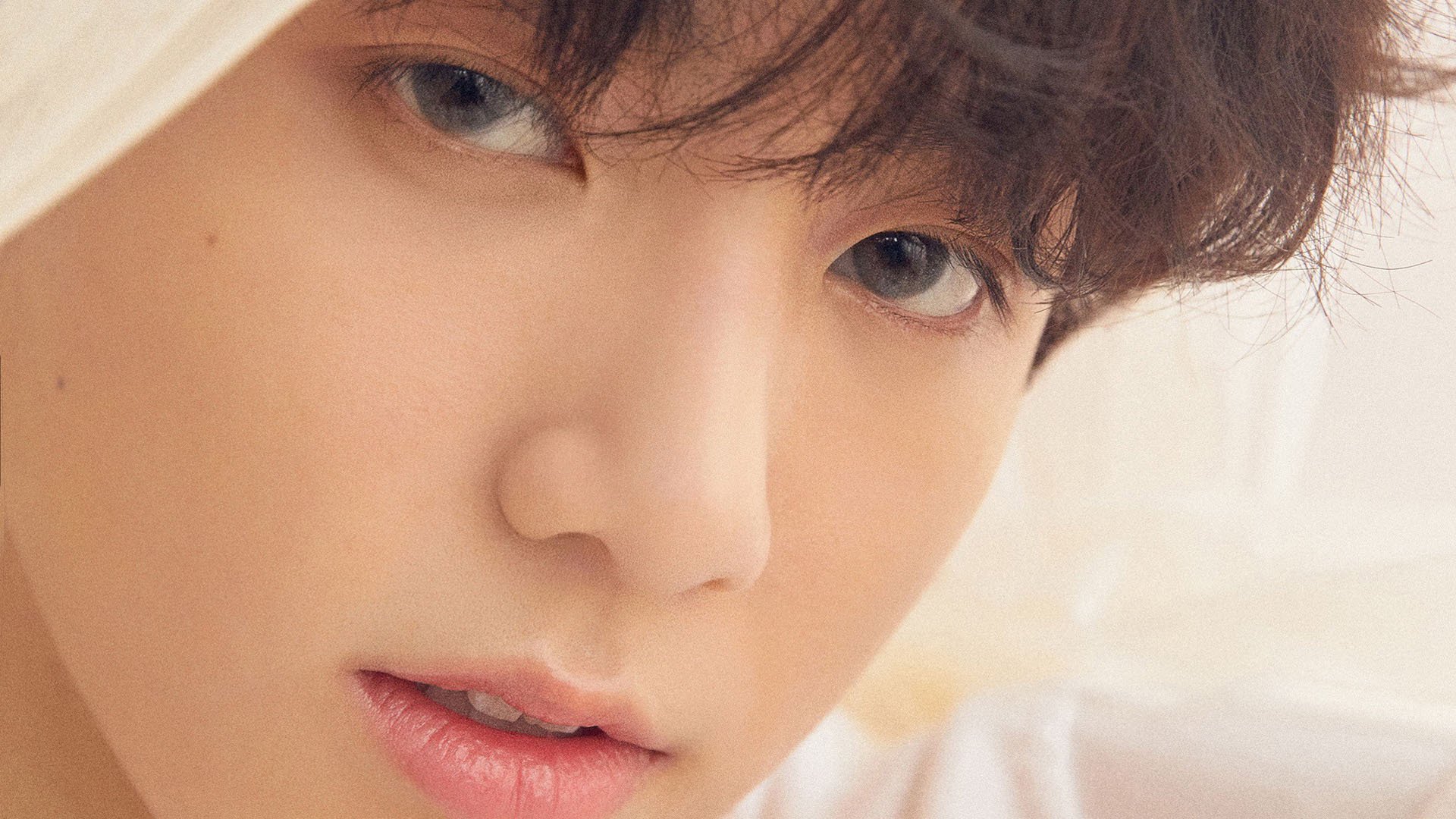 守望者的长夜,当无解马克西撕裂明尼苏达的森林