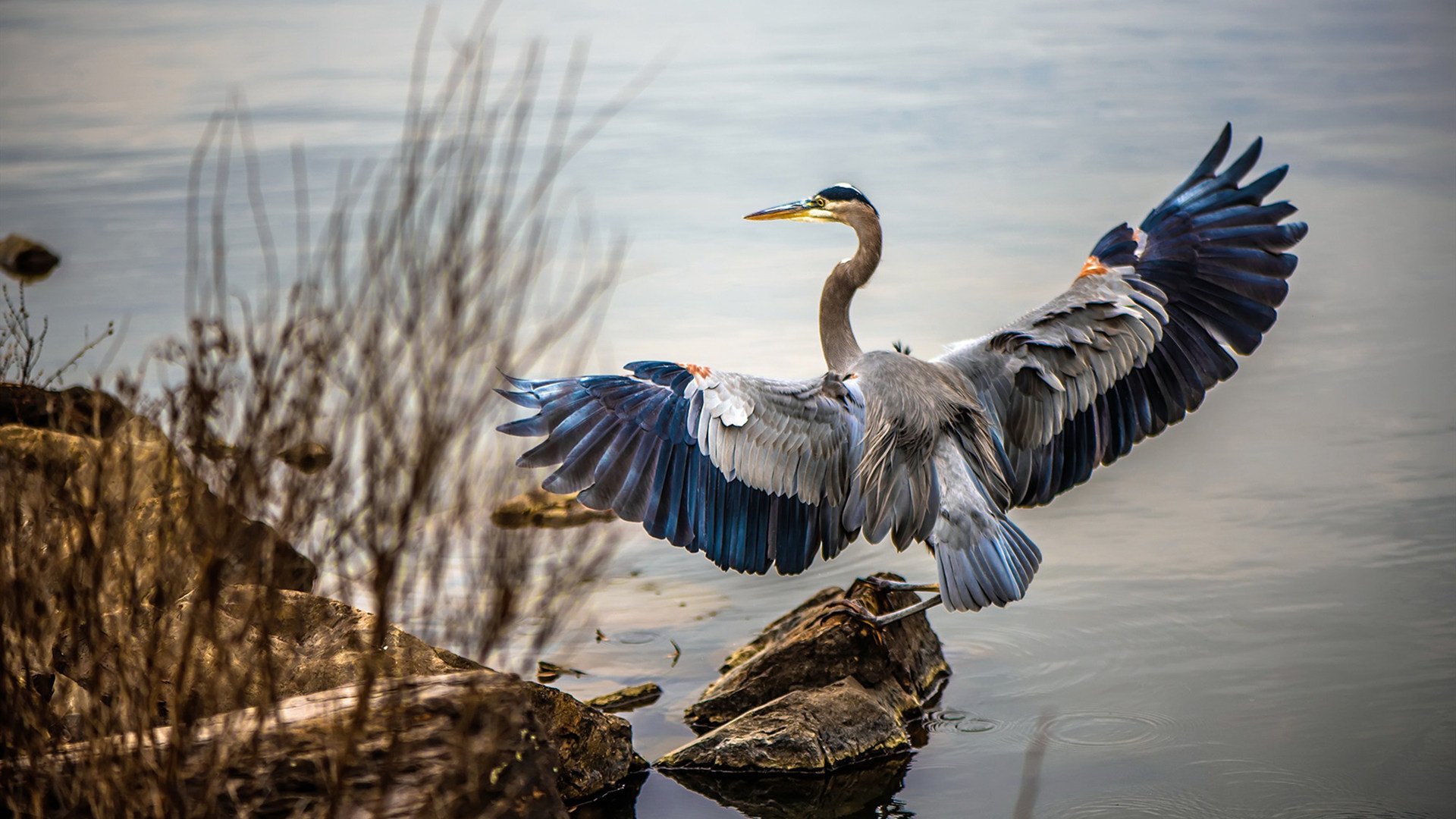 绿茵铁闸与命运逆转，巴斯托尼一夫当关，南非粉碎葡萄牙百年骄傲