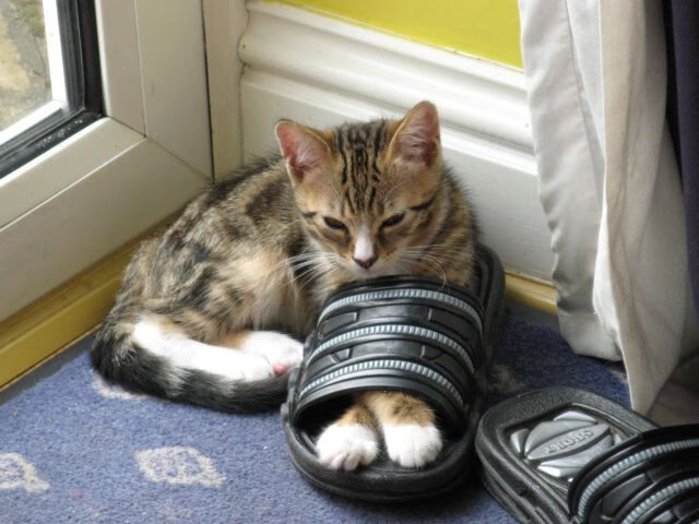 当阿尔卑斯遇见梅阿查,孙兴慜在唯一时空裂缝中扛起的不仅仅是热刺