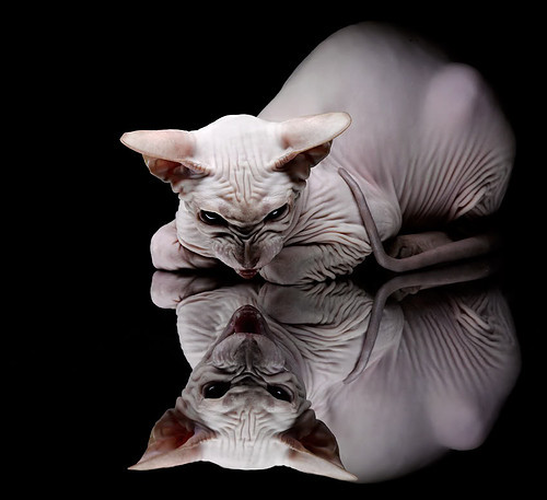 西亚卡姆防守端锁死恩比德，雷霆力克76人强势晋级