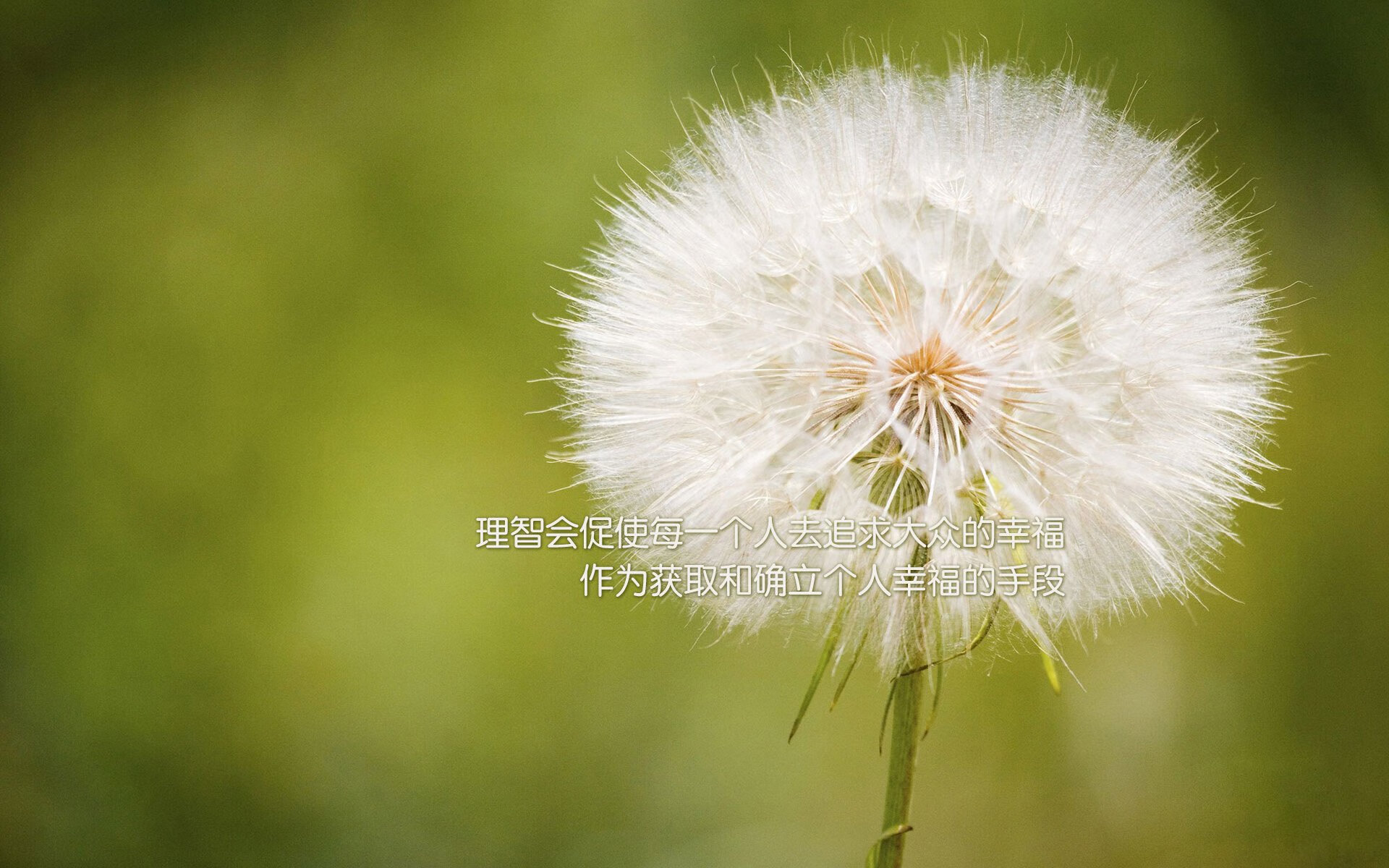 哈基米的瞬光,2026世界杯B组绝杀夜,一秒钟定义永恒